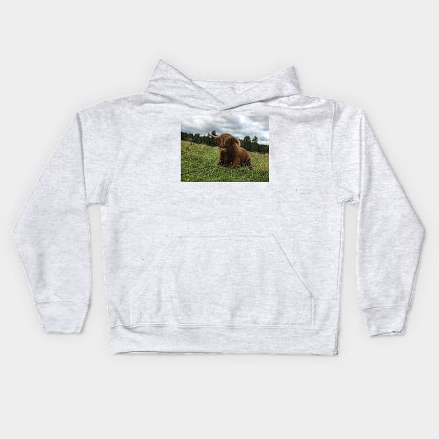 Scottish Highland Cattle Bull 1513 Kids Hoodie by SaarelaHighland